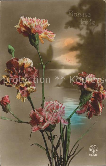 Foto AN Paris (Noyer) Nr. 2658 Blumen Glückwunsch Geburtstag