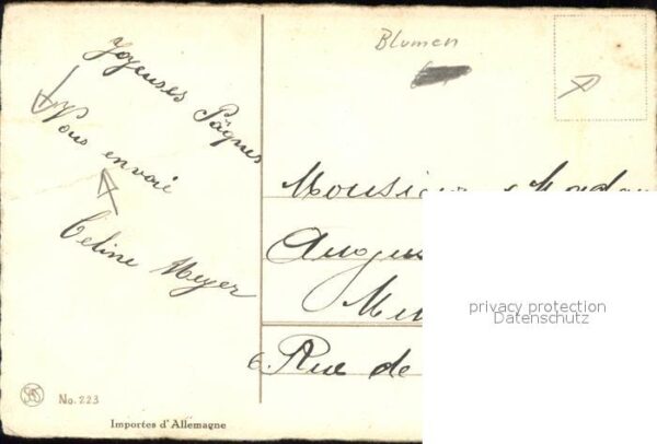 Blumen Maiglöckchen Veilchen Ostern – Bild 2