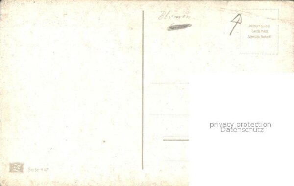 Rosen – Bild 2
