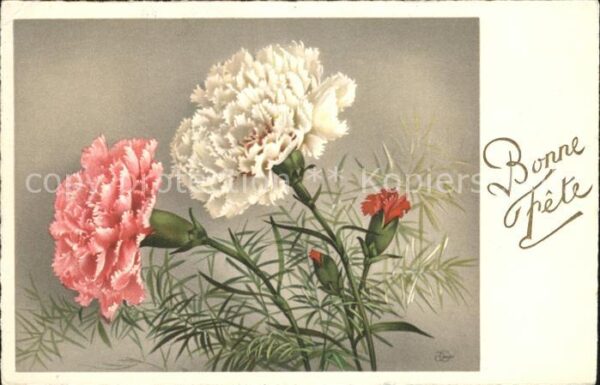 Blumen Glückwunsch Geburtstag