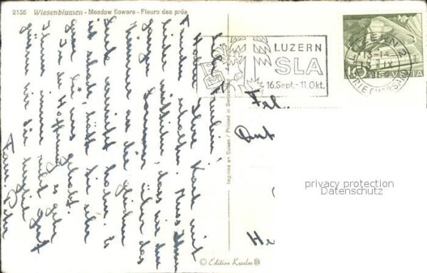Kuenstlerkarte Wiesenblumen – Bild 2