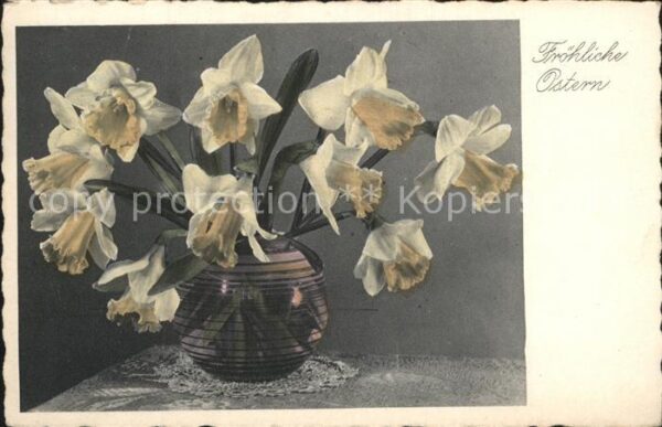 Blumen Narzissen Ostern