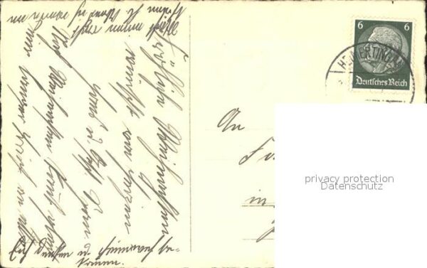 Rosen – Bild 2
