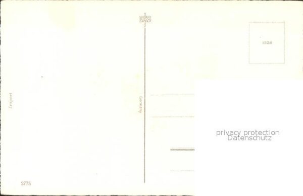 Rosen – Bild 2
