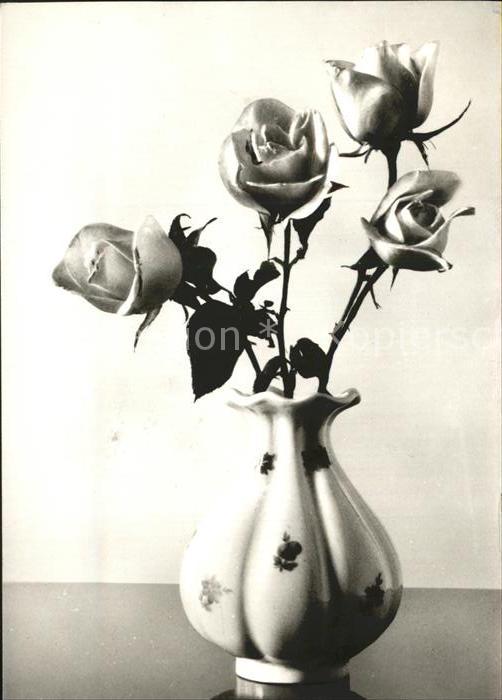 Rosen