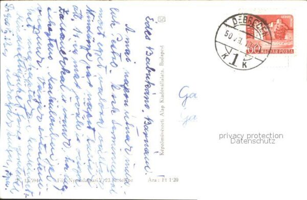 Rosen – Bild 2