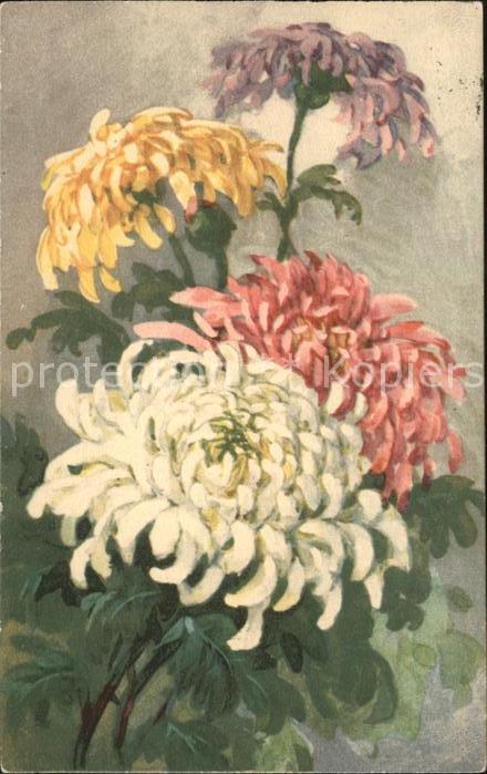 Blumen