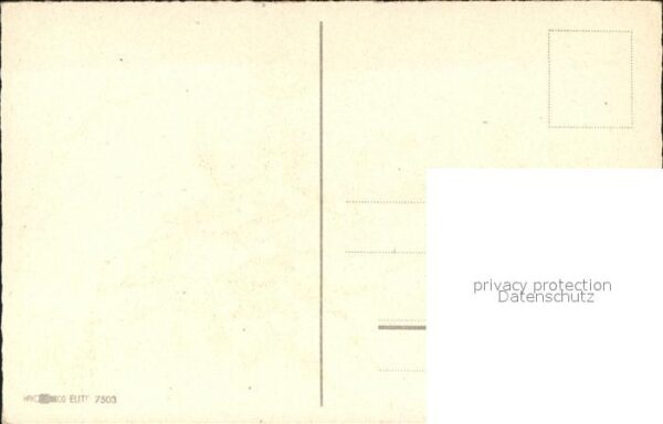 Pflanzen Mistelzweig – Bild 2