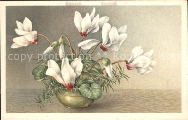Blumen