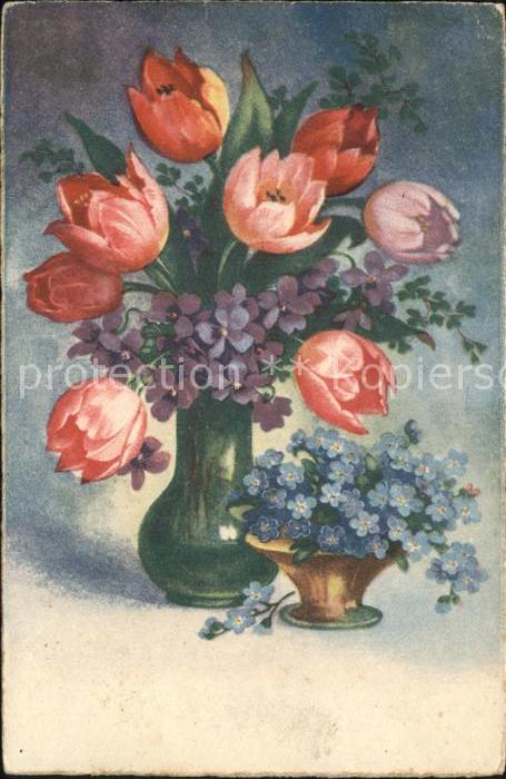 Blumen Tulpen Veilchen