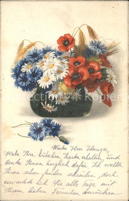 Blumen Margeriten Meissner-und-Buch-Verlag
