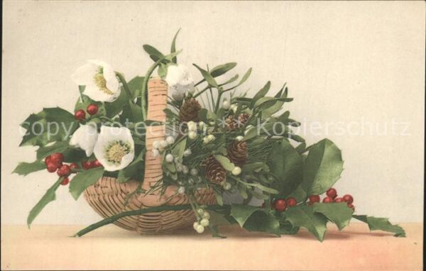 Blumen Kiefernzapfen