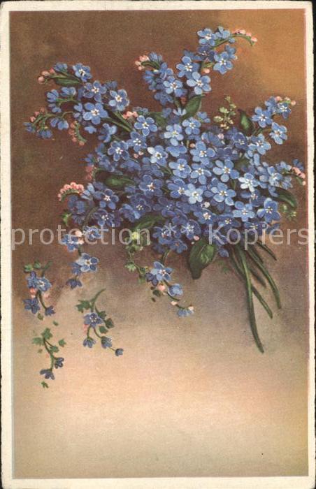 Blumen Pfingsten