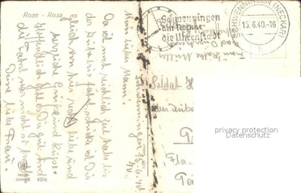 Rosen – Bild 2