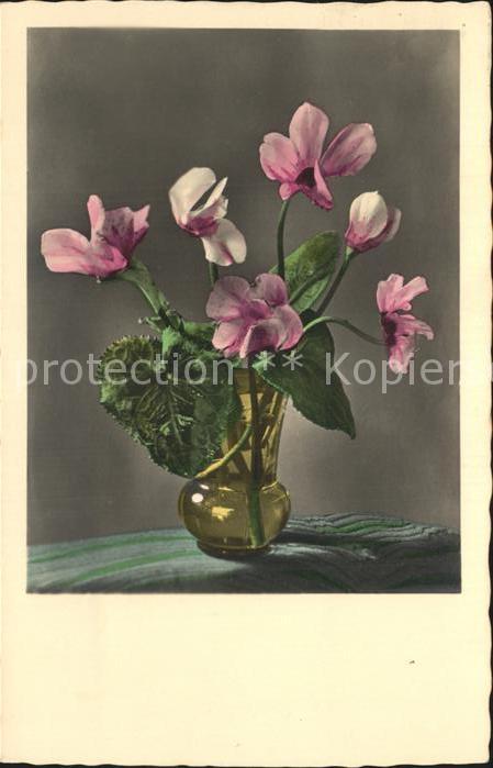 Blumen
