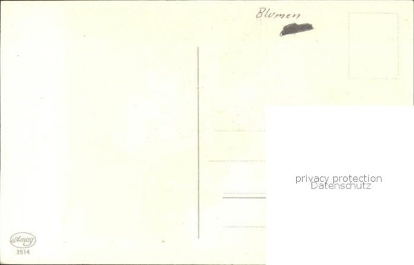 Rosen – Bild 2