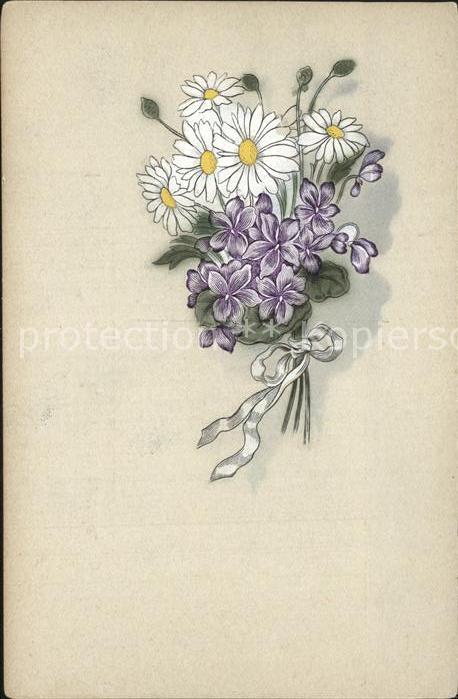 Blumen Margeriten Veilchen