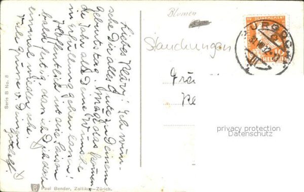 Rosen – Bild 2