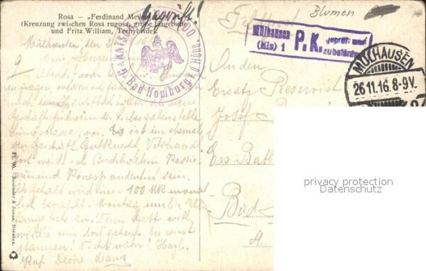 Rosen Künstlerkarte Ferdinand Meyer – Bild 2