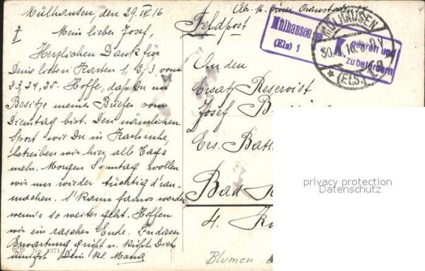 Blumen Feldpost Mülhausen – Bild 2