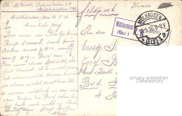 Blumen Feldpost Mülhausen – Bild 2