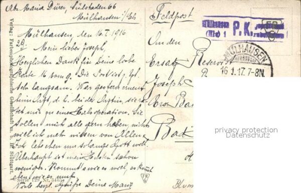 Rosen Feldpost Mülhausen – Bild 2
