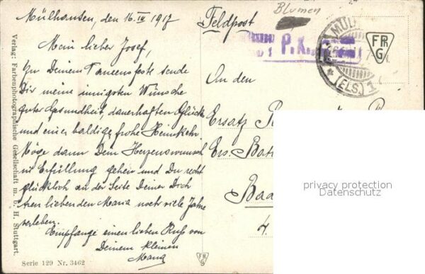 Rosen Feldpost Mülhausen – Bild 2