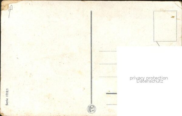 Rosen – Bild 2