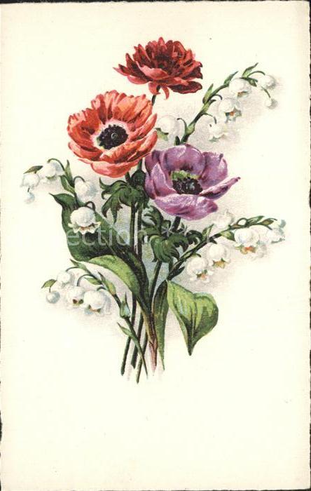 Blumen Maiglöckchen Tulpen