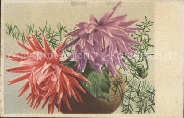 Blumen