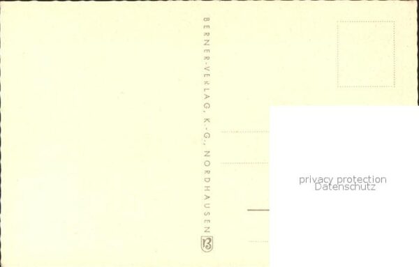 Rosen – Bild 2