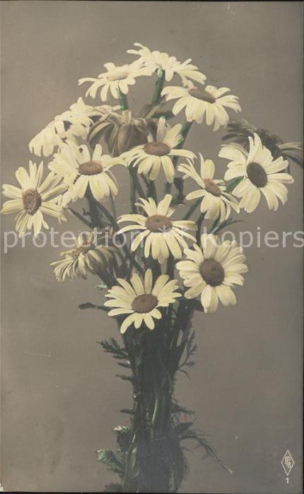 Blumen