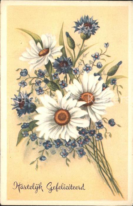 Blumen Glückwunsch Geburtstag