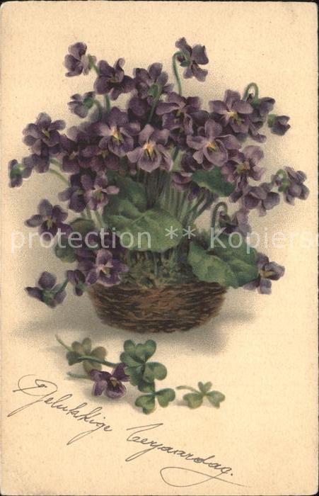 Blumen Veilchen Meissner-und-Buch-Verlag