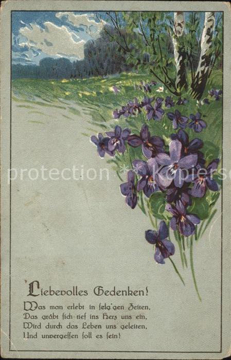 Blumen Veilchen Gedicht