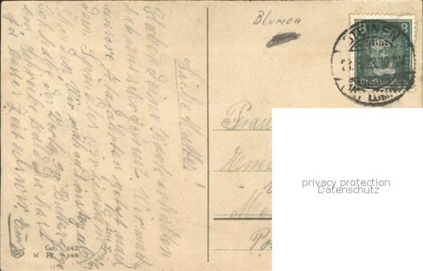 Rosen – Bild 2