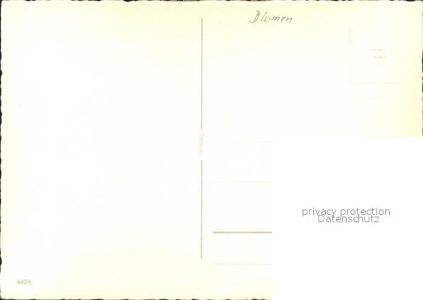 Blumen – Bild 2