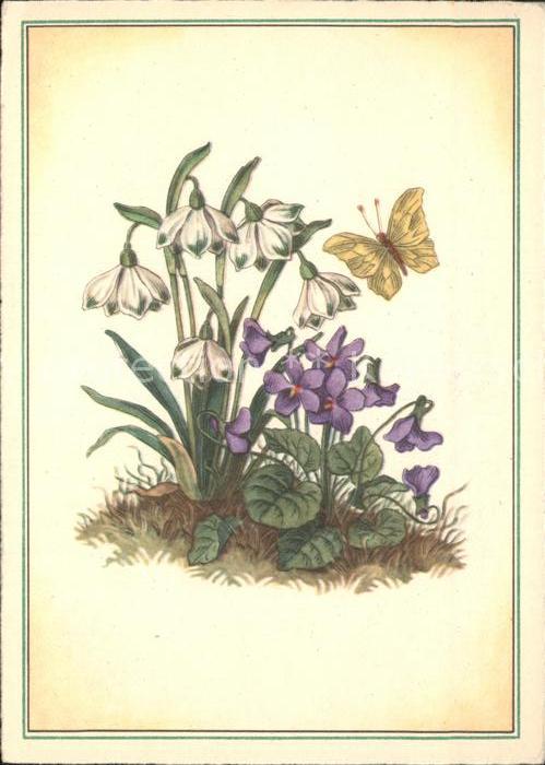 Blumen Veilchen Schneeglöckchen Schmetterling