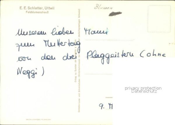 Schlatter E.E. Feldblumenstrauß – Bild 2