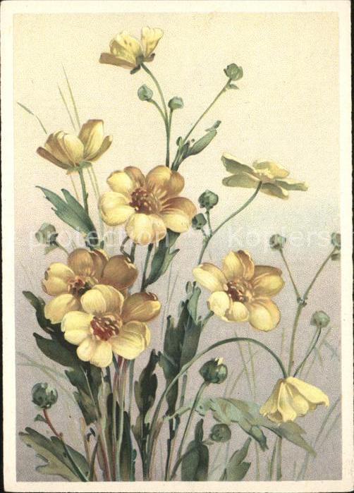 Blumen