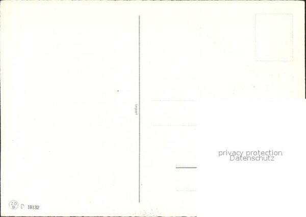 Blumen – Bild 2