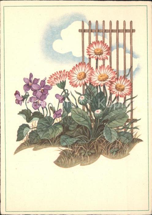 Blumen Veilchen Cellaro-Verlag Nr. 6430