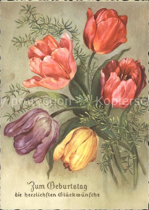 Blumen Tulpen Glückwunsch Geburtstag