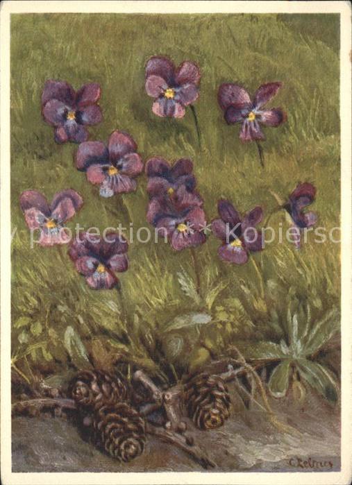 Blumen Veilchen Künstlerkarte C. Zeltner Nr. 9
