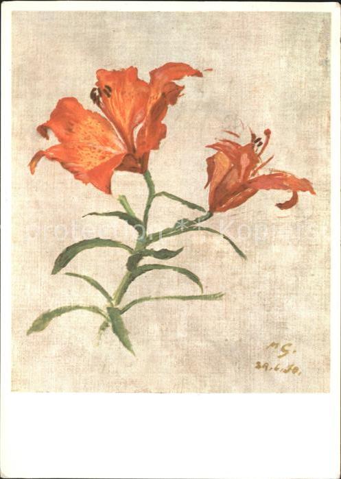 Blumen Feuerlilie Künstlerkarte Max Rud. Geise