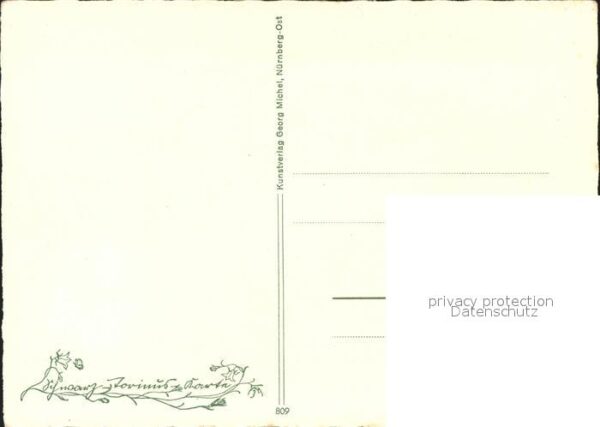 Blumen Frauenflax – Bild 2