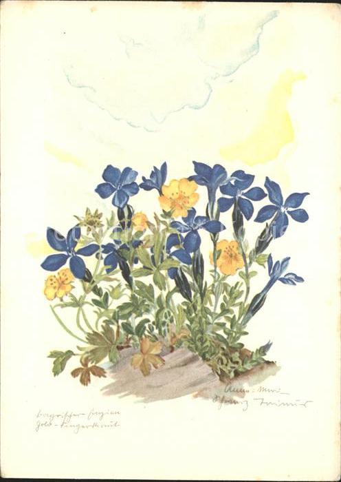 Blumen Enzian Gold-Fingerkraut Künstlerkarte