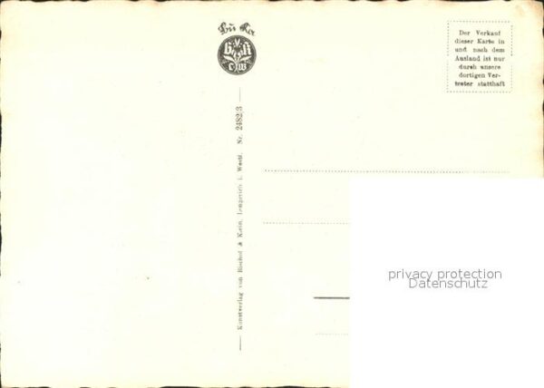 Rosen – Bild 2