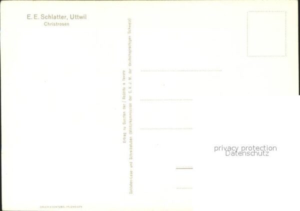 Schlatter E.E. Christrosen Blumen Kerze – Bild 2