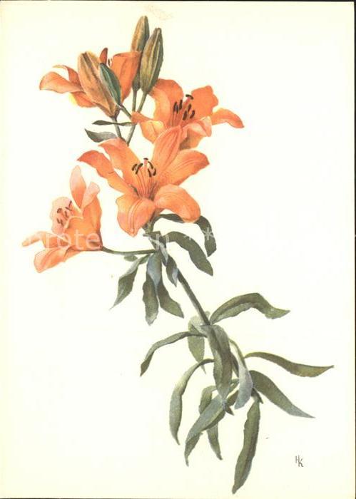 Blumen Feuerlilien Künstlerkarte H. Kunkeler